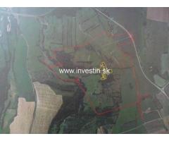 70 ha private land with goats and horses