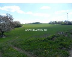 70 ha private land with goats and horses